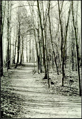 path to sherwood forest